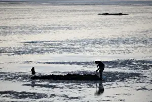Bait digging on mudflats of The Wash off Snettisham Norfolk winter