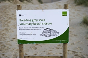 Beach closure sign at Grey Seal breeding colony Winterton Norfolk December Beach closure sign at Grey Seal breeding colony Winterton Norfolk December