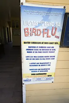 Cebu Prints: Bird Flu awareness sign on Olango Island Wlidlife Sanctuary Lapu-Lapu Cebu Philippines