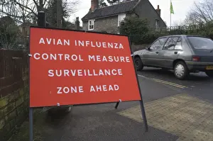 Images Dated 2007: Bird Flu restriction zone sign Suffolk winter 2006 / 07