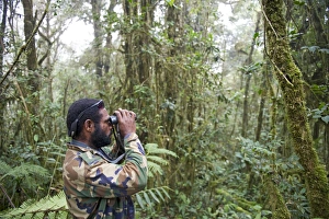Bird guide Benson Hale on his own trail - Bensons Trail at Tari in Southern Highlands Bird guide Benson Hale on his own trail - Bensons Trail at Tari in Southern Highlands
