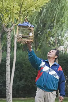 China Prints: Bird keeper with Hwamei Leucodopteron canorum formerly Garrulax canorus in park