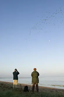 Bird watchers watching Knot and other waders stream off The Wash ats the tide rises
