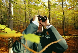 Birding Prints: Birder in woodland, autumn, UK