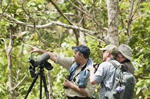 Birders searching for Cebu Flowerpecker in Alcoy Forest Cebu Philippines Birders searching for Cebu Flowerpecker in Alcoy Forest Cebu Philippines