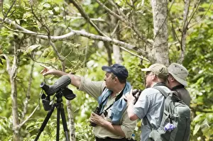 Birding Prints: Birders searching for Cebu Flowerpecker in Alcoy Forest Cebu Philippines