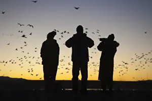 Dawn Prints: Birders watching dawn flight of Snow Geese at Bosque del Apache New Mexico USA November