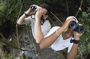 Rainforest Prints: Birding in foothill rainforest El Valle Panama