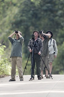 Birding in lowland forest along road close to Sabang on Palawan Philippines Birding in lowland forest along road close to Sabang on Palawan Philippines