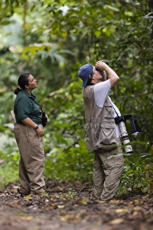 Rainforest Prints: Birding along Pipeline Road Soberiana NP Panama