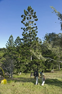 Birdwatchers in Varirata National Park Papua New Guinea