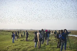 Birdwatchers watching waders over the Wash at Snettisham RSPB Reserve Norfolk winter