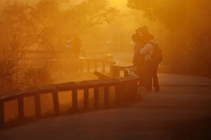 Birdwatching along the Anhinga Trail in Florida Everglades at dawn Birdwatching along the Anhinga Trail in Florida Everglades at dawn