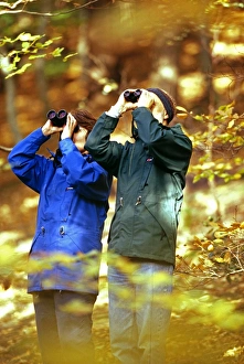 Watching Prints: Birdwatching couple in woodland, autumn, UK