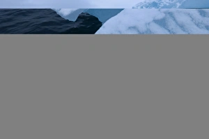 Part of a blue iceberg grounded on the shore, Brown Bluff, Antarctic Peninsula, Antarctica Part of a blue iceberg grounded on the shore, Brown Bluff, Antarctic Peninsula, Antarctica