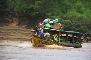Boat carrying bananas to market up the Madre de Dios River Peruvian Amazon Boat carrying bananas to market up the Madre de Dios River Peruvian Amazon