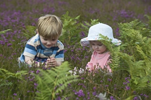 Boy and girl (4 & 2) with magnifying glass looking at insects on heath North Norfolk July Boy and girl (4 & 2) with magnifying glass looking at insects on heath North Norfolk July