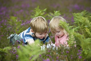 Girl with magnifying glass looking at insects on heath North Norfolk July