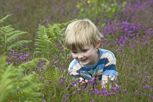 Boy with magnifying glass looking at insects on heath North Norfolk July Boy with magnifying glass looking at insects on heath North Norfolk July
