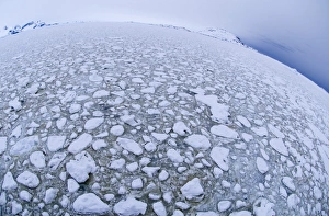 Brash Ice in the Lemaire Channel Antarctic Peninsula Antarctica