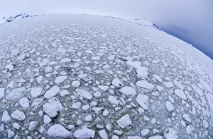 Brash Ice in the Lemaire Channel Antarctic Peninsula Antarctica