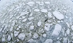 Images Dated 11th November 2006: Brash Ice in the Lemaire Channel Antarctic Peninsula Antarctica