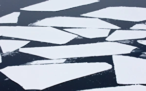 Images Dated 9th November 2005: Broken pack ice - Brash Ice in Weddell Sea Antarctic