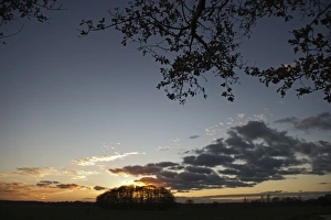 Buckenham Marshes RSPB Reserve at dusk Yare Valley Norfolk December Buckenham Marshes RSPB Reserve at dusk Yare Valley Norfolk December