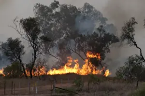 Trees Prints: Bush fire near Charter Towers in Queensland Northern Australia October