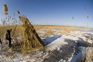 Camouflaged hide for photographing Red-breasted Geese Durankulak Lake Bulgaria winter Camouflaged hide for photographing Red-breasted Geese Durankulak Lake Bulgaria winter