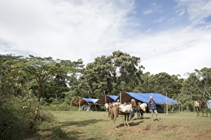 Camp at Mt Kitanglad Mindanao Philippines