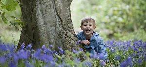 Child playing among Bluebells Norfolk May