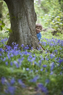 Child playing among Bluebells Norfolk May