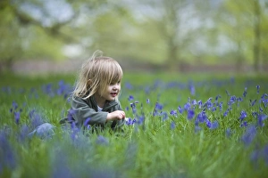 Child playing among Bluebells Norfolk May