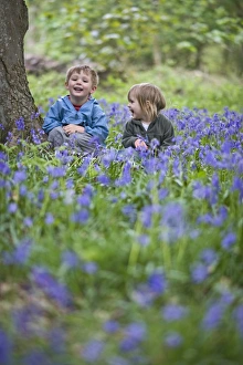 Children Prints: Children playing in bluebell wood Norfolk UK may