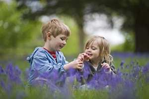 Child playing among Bluebells Norfolk May