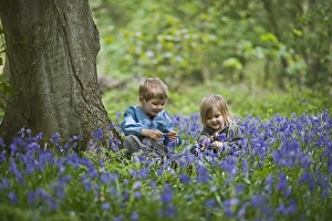 Young children playing in Bluebell Wood Norfolk May