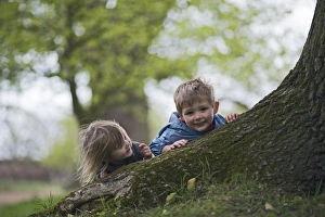 Children playingaround roots of old oak tree Norfolk April Children playingaround roots of old oak tree Norfolk April