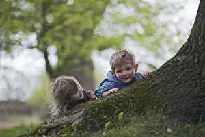 People Prints: Children playingaround roots of old oak tree Norfolk April