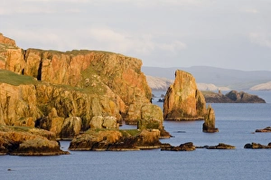 Cliff scenery NW mainland Shetland Scotland May