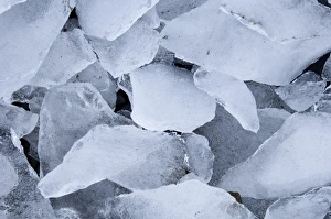 Close up of pieces of ice washed up on to beach at Brown Bluff on Antarctic Peninsula Close up of pieces of ice washed up on to beach at Brown Bluff on Antarctic Peninsula