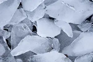 Images Dated 9th November 2006: Close up of pieces of ice washed up on to beach at Brown Bluff on Antarctic Peninsula