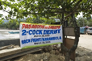 Cockerel Prints: Cock-fight Sabang Palawan Philippines