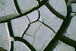 Global Warming Prints: Cracked mud on dried out lake bed during drought, Kent, summer