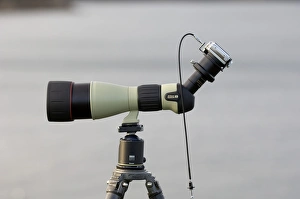 digiscoping with Nikon Coolpix 7900 and Nikon Fieldscope ED 82 digiscoping with Nikon Coolpix 7900 and Nikon Fieldscope ED 82