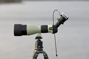 Images Dated 1st November 2005: digiscoping with Nikon Coolpix 7900 and Nikon Fieldscope ED 82