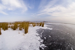 Frozen Prints: Duranulak Lake (RAMSAR site) NE Bulgaria Feb