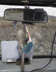 Eagle Owl Bubo bubo feathers hanging from rear view mirror these are a good luck Eagle Owl Bubo bubo feathers hanging from rear view mirror these are a good luck