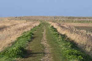 Reserve Prints: East Bank Cley Norfolk winter