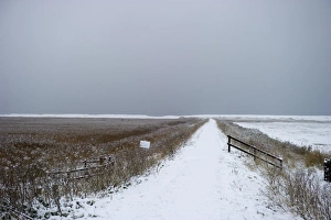 Cley Prints: East Bank at Cley in winter Norfolk December